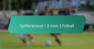 Spilleransvar i 3-mot-3 fotball